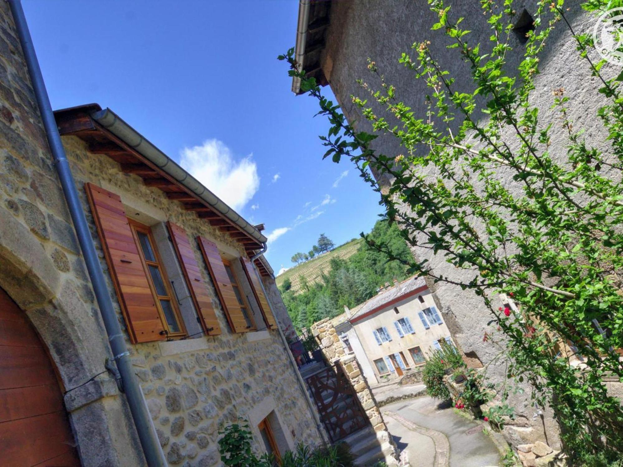 Gite De Charme Avec 2 Terrasses, Au Coeur Du Parc Du Pilat, Confortable Et Equipe - Fr-1-496-40 Malleval Exterior photo